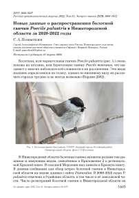 Новые данные о распространении болотной гаички Poecile palustris в Нижегородской области за 2020-2022 годы