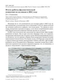 Итоги работы фаунистической комиссии по куликам в 2021 году