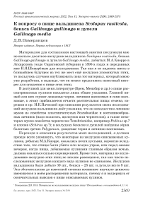 К вопросу о пище вальдшнепа Scolopax rusticola, бекаса Gallinago gallinago и дупеля Gallinago media