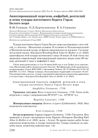 Аннотированный перечень амфибий, рептилий и птиц тундры восточного берега горла Белого моря