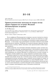 Орнитологические находки на норах песца Alopex lagopus на острове Медный (Командорские острова)