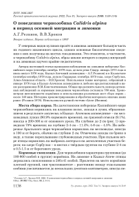 О поведении чернозобика Calidris alpina в период осенней миграции и зимовки