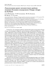 Локализация ранее неизвестного района зимовки больших подорликов Clanga clanga на Кубани