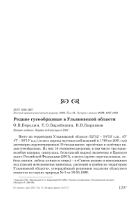 Редкие гусеобразные в Ульяновской области