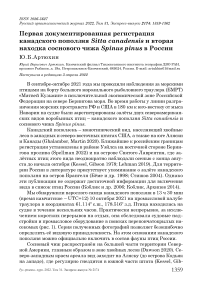 Первая документированная регистрация канадского поползня Sitta canadensis и вторая находка соснового чижа Spinus pinus в России