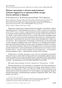 Новые сведения о малом веретеннике Limosa lapponica и краснозобой гагаре Gavia stellata в Крыму