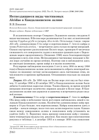 Негнездящиеся виды чистиковых Alcidae в Кандалакшском заливе