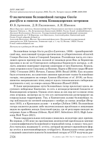 О включении белошейной гагары Gavia pacifica в список птиц Командорских островов