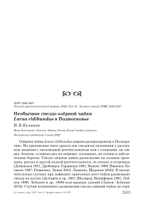 Необычное гнездо озёрной чайки Larus ridibundus в Подмосковье