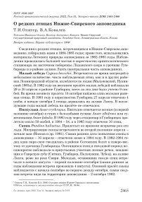 О редких птицах Нижне-Свирского заповедника