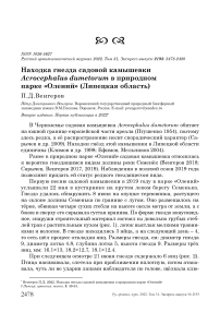 Находка гнезда садовой камышевки Acrocephalus dumetorum в природном парке "Олений" (Липецкая область)