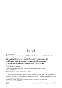 Гнездование северной бормотушки Iduna caligata в окрестностях села Фёдоровка (Липецкий район Липецкой области)