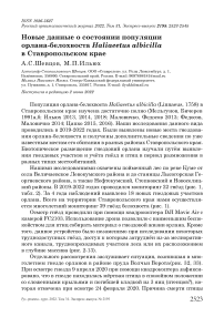 Новые данные о состоянии популяции орлана-белохвоста Haliaeetus albicilla в Ставропольском крае