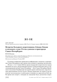 Встречи большого веретенника Limosa limosa и полевого луня Circus cyaneus в пригороде Санкт-Петербурга