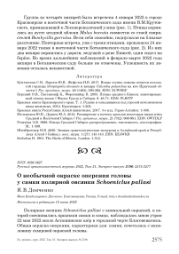 О необычной окраске оперения головы у самки полярной овсянки Schoeniclus pallasi