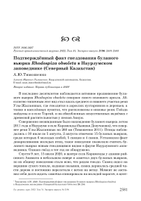 Подтверждённый факт гнездования буланого вьюрка Rhodospiza obsoleta в Наурзумском заповеднике (Северный Казахстан)