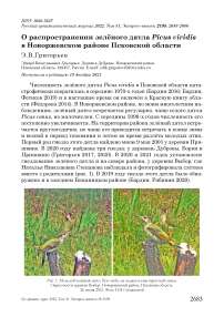 О распространении зелёного дятла Picus viridis в Новоржевском районе Псковской области