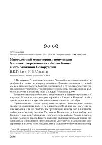 Многолетний мониторинг популяции большого веретенника Limosa limosa в юго-западной Белоруссии