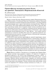 Орнитофауна водораздельных болот на границе Липецкой и Воронежской областей