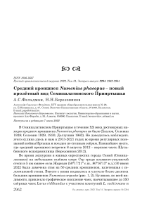 Средний кроншнеп Numenius phaeopus - новый пролётный вид Семипалатинского Прииртышья