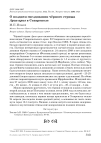 О позднем гнездовании чёрного стрижа Apus apus в Ставрополе