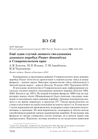 Ещё один случай зимнего гнездования домового воробья Passer domesticus в Ставропольском крае