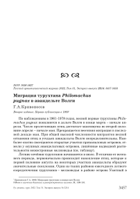 Миграция турухтана Philomachus pugnax в авандельте Волги