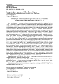 Интродукционное исследование двух образцов Allium odorum L. в Южно-Уральском ботаническом саду-институте