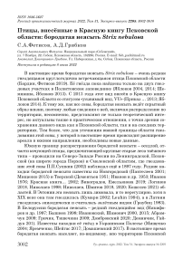 Птицы, внесённые в Красную книгу Псковской области: бородатая неясыть Strix nebulosa