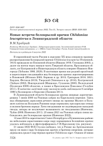 Новые встречи белокрылой крачки Chlidonias leucopterus в Ленинградской области