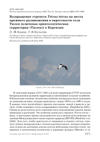 Возвращение стрепета Tetrax tetrax на места прежнего размножения в окрестности села Тюлек (ключевая орнитологическая территория "Тюлек") в Киргизии