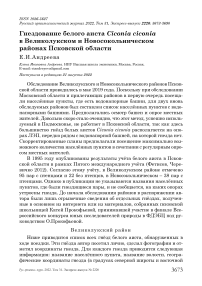 Гнездование белого аиста Ciconia ciconia в Великолукском и Новосокольническом районах Псковской области