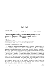 Размножение лебедя-кликуна Cygnus cygnus на озере Здраное (Новоржевский район Псковской области) в 2022 году