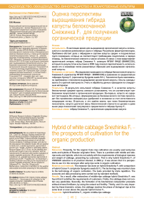 Оценка перспективы выращивания гибрида капусты белокочанной Снежинка F1 для получения органической продукции