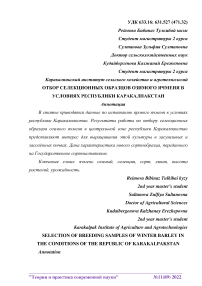 Отбор селекционных образцов озимого ячменя в условиях Республики Каракалпакстан