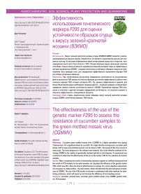 Эффективность использования генетического маркера F295 для оценки устойчивости образцов огурца к вирусу зеленой крапчатой мозаики (ВЗКМО)