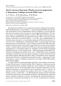 Залёт малого баклана Phalacrocorax pygmaeus в Западную Сибирь весной 2022 года
