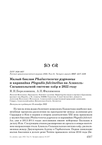 Малый баклан Phalacrocorax pygmaeus и каравайка Plegadis falcinellus на Алаколь-Сасыккольской системе озёр в 2022 году
