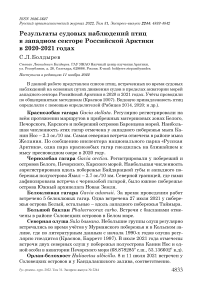 Результаты судовых наблюдений птиц в западном секторе российской Арктики в 2020-2021 годах