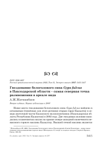 Гнездование белоголового сипа Gyps fulvus в Павлодарской области - самая северная точка размножения в ареале вида