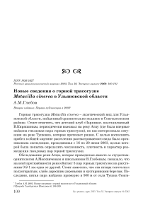 Новые сведения о горной трясогузке Motacilla cinerea в Ульяновской области