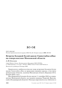 Встреча большой белой цапли Casmerodius albus на северо-востоке Московской области