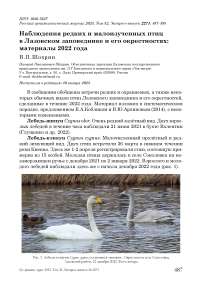 Наблюдения редких и малоизученных птиц в Лазовском заповеднике и его окрестностях: материалы 2022 года