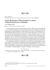 Залёт фламинго Phoenicopterus roseus в Нижегородскую губернию