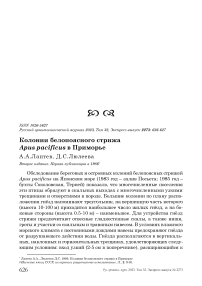 Колонии белопоясного стрижа Apus pacificus в Приморье