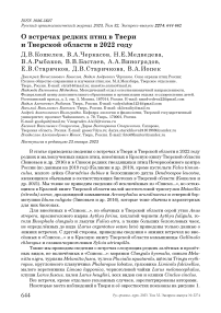 О встречах редких птиц в Твери и Тверской области в 2022 году