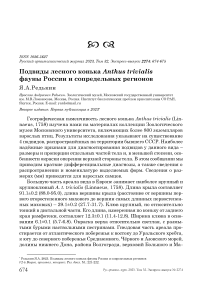 Подвиды лесного конька Anthus trivialis фауны России и сопредельных регионов