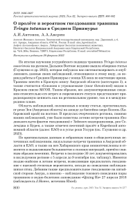 О пролёте и вероятном гнездовании травника Tringa totanus в Среднем Приамурье