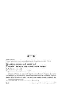 Гнездо деревенской ласточки Hirundo rustica в цистерне среди степи