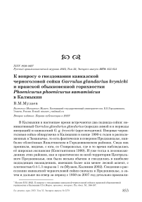 К вопросу о гнездовании кавказской черноголовой сойки Garrulus glandarius krynicki и иранской обыкновенной горихвостки Phoenicurus phoenicurus samamisicus в Калмыкии